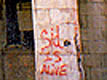 sidisalivepicb